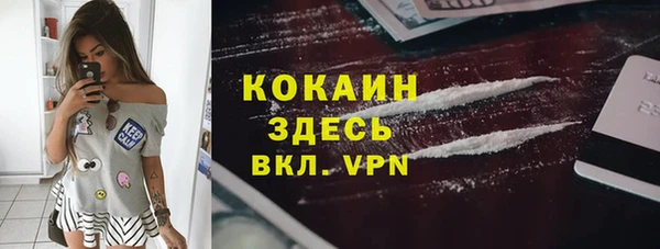спайс Алексин