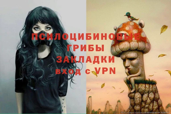 гидра Алзамай