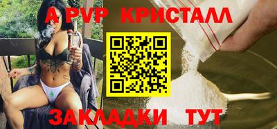 индика Кингисепп