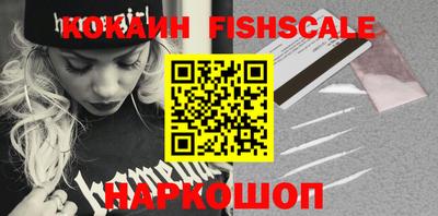 индика Кингисепп