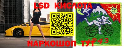 индика Кингисепп