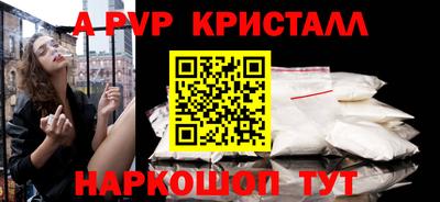 индика Кингисепп