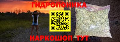 стаф Кимры