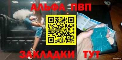 индика Кингисепп