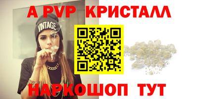 индика Кингисепп