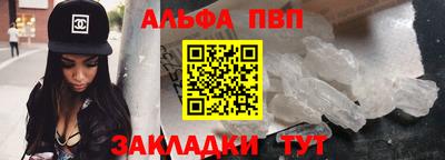 индика Кингисепп