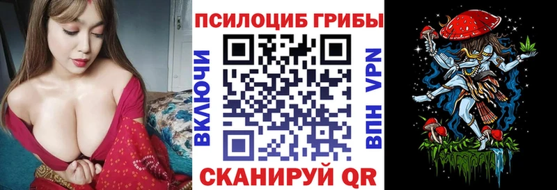 Псилоцибиновые грибы мицелий  сколько стоит  Калач-на-Дону 