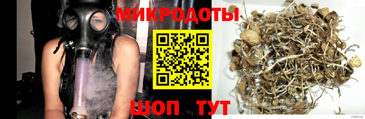Псилоцибиновые грибы MAGIC MUSHROOMS Калач-на-Дону